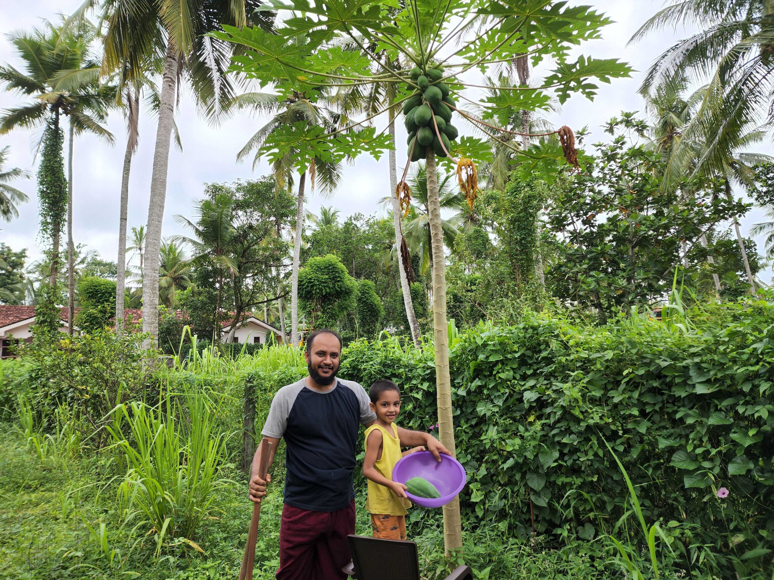 fruit collection in srilanka rented house