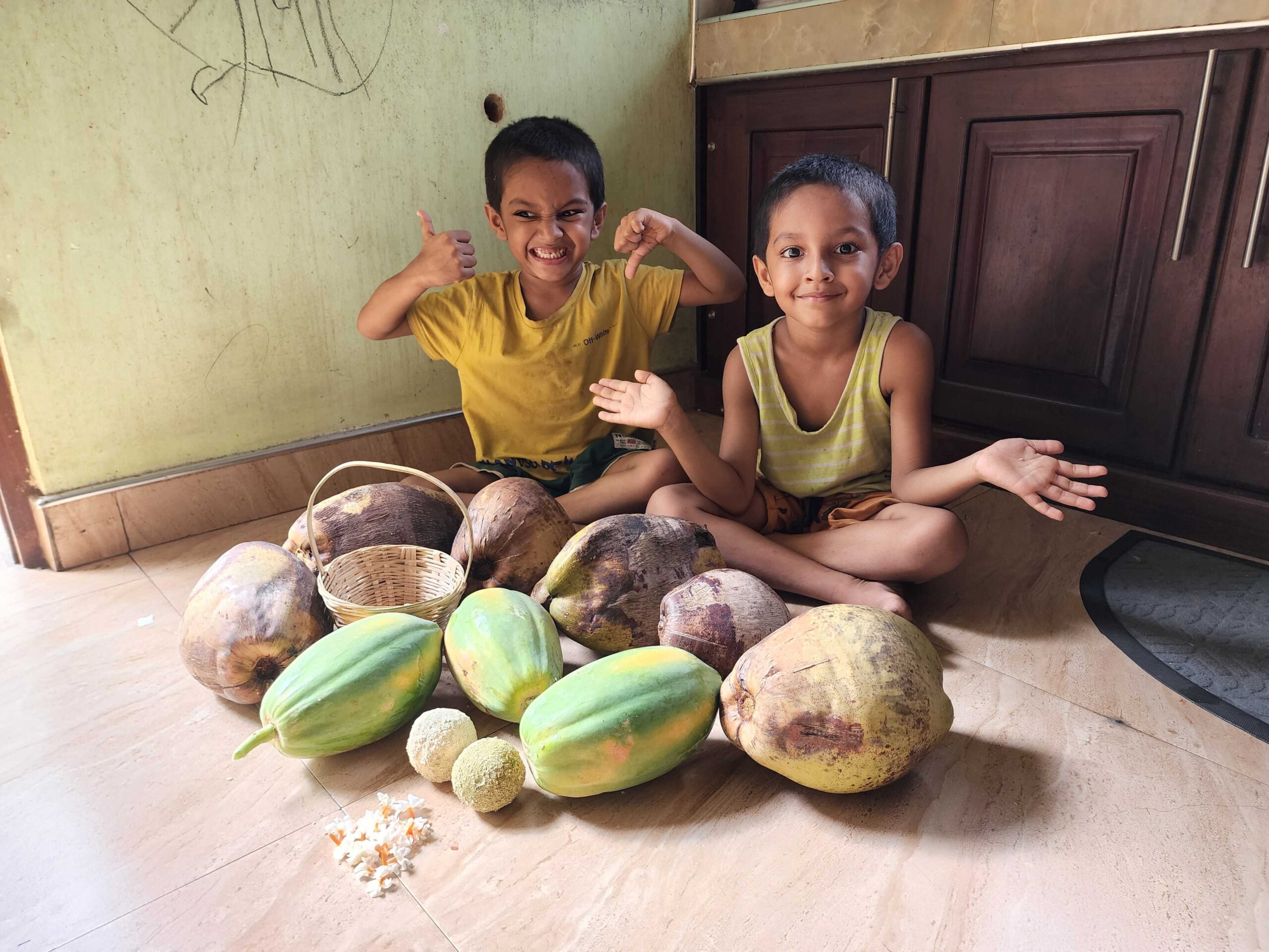 kids collect fruits in srilanka house